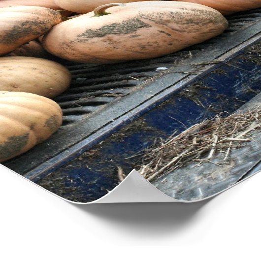 Pumpkin Ernte auf Lieferwagen Truck Fall Poster (Ecke)