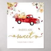 Pumpkin Fall Babies sind süße Zeichen Poster (Vorne)