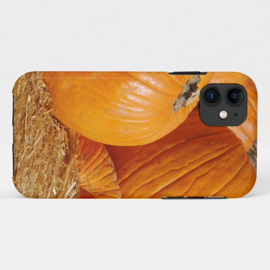 Pumpkin Fall Scene Case-Mate iPhone Hülle (Rückseite (Horizontal))