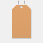 Pumpkin Fall Watercolor Babydusche Danke Geschenkanhänger (Rückseite)