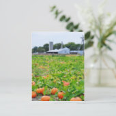 Pumpkin-Farm Postkarte (Stehend Vorderseite)