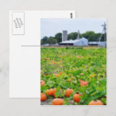 Pumpkin-Farm Postkarte (Vorne/Hinten)
