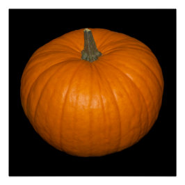 Pumpkin-Foto im schwarzen Hintergrund Poster