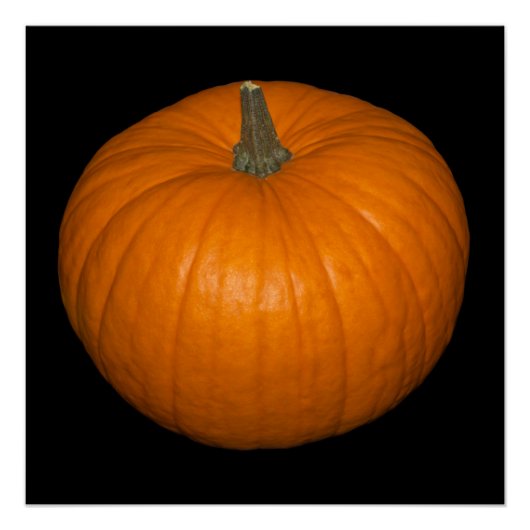 Pumpkin-Foto im schwarzen Hintergrund Poster (Vorderseite)