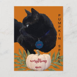 Pumpkin Gewürze alles Nizza Black Cat Postkarte