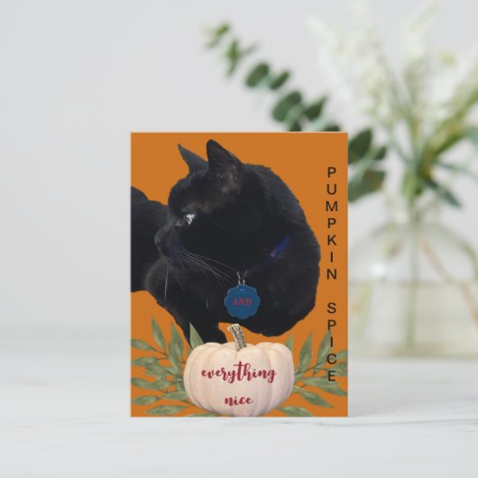 Pumpkin Gewürze alles Nizza Black Cat Postkarte (Stehend Vorderseite)