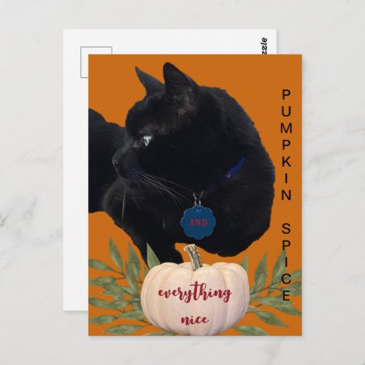 Pumpkin Gewürze alles Nizza Black Cat Postkarte (Vorne/Hinten)