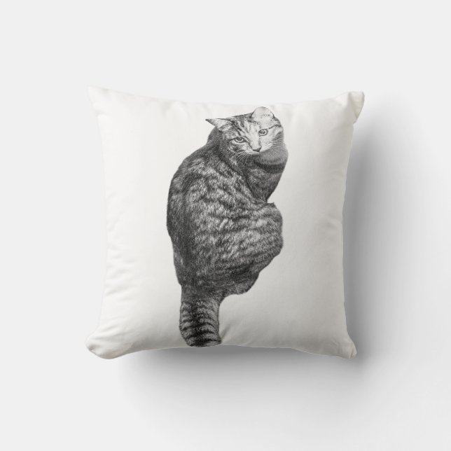 Pumpkin Glow Whiskers Kissen (Vorderseite)