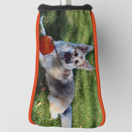 Pumpkin GSD Golf Headcover (Rotieren 90)