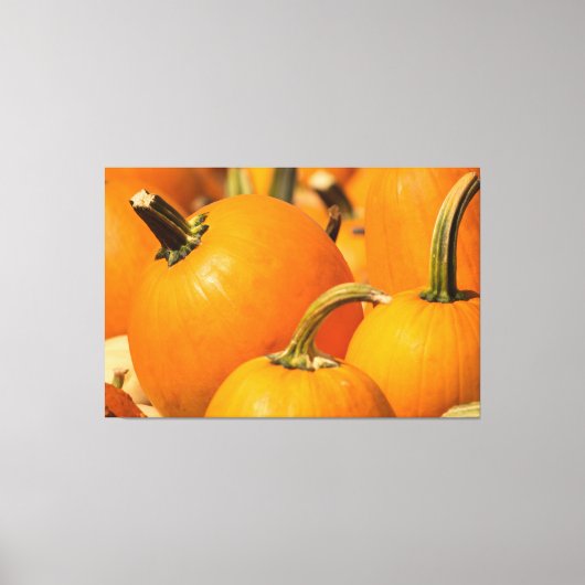 PUMPKIN HARVEST 60 X 40 WRAPPED CANVAS LEINWANDDRUCK (Vorderseite)