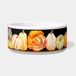 Pumpkin Harvest auf einer Salad-Schüssel Napf