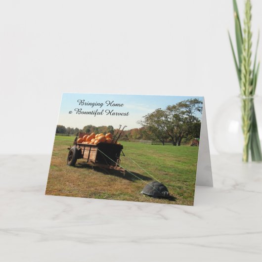 Pumpkin Harvest - Erntedank Card Feiertagskarte (Vorderseite)