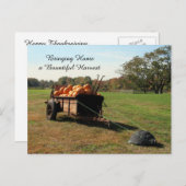 Pumpkin Harvest - Postcard Postkarte (Vorne/Hinten)