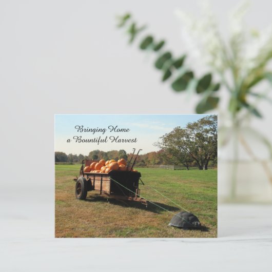Pumpkin Harvest - Postcard Postkarte (Stehend Vorderseite)