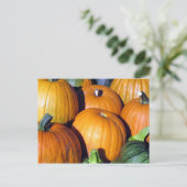Pumpkin Harvest Postkarte (Stehend Vorderseite)