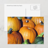Pumpkin Harvest Postkarte (Vorne/Hinten)