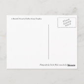 Pumpkin Harvest Postkarte (Rückseite)