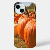 Pumpkin Harvest, Pumpkin Patch Pumpkins Case-Mate iPhone Hülle (Rückseite)
