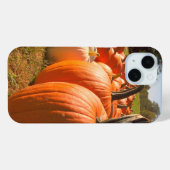 Pumpkin Harvest, Pumpkin Patch Pumpkins Case-Mate iPhone Hülle (Rückseite (Horizontal))