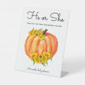 Pumpkin, He oder She Gender Reveal Sockelschild (Vorderseite)