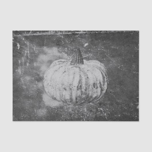 Pumpkin Herbst Vintag Schwarz-Weiß-Textur Seidenpapier (Vorderseite)