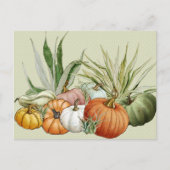 Pumpkin Kaktus und Pflanze Wasserfarbe Postkarte (Vorderseite)
