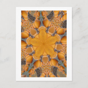 Pumpkin Kaleidoskop Postkarte