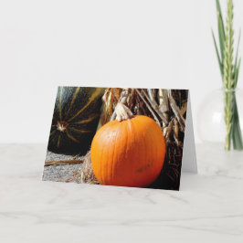 Pumpkin Karte