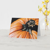 Pumpkin Karte (Gelbe Blume)