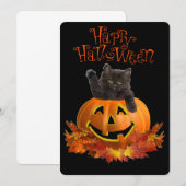 Pumpkin Kitty (Vorne/Hinten)
