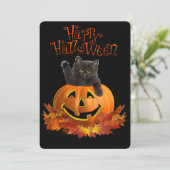 Pumpkin Kitty (Stehend Vorderseite)
