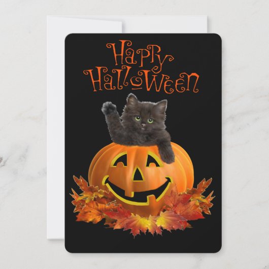 Pumpkin Kitty (Vorderseite)