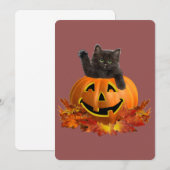 Pumpkin Kitty (Vorne/Hinten)
