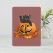 Pumpkin Kitty (Stehend Vorderseite)