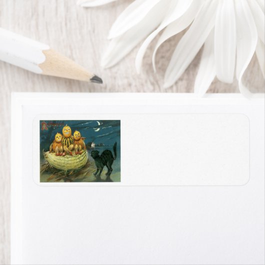 Pumpkin Kürbislaterne Black Cat Crescent Moon (Insitu)