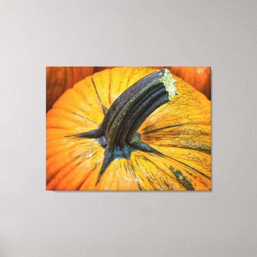 Pumpkin Leinwanddruck (Vorderseite)