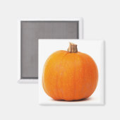 Pumpkin Magnet (Vorderseite/Rückseite)