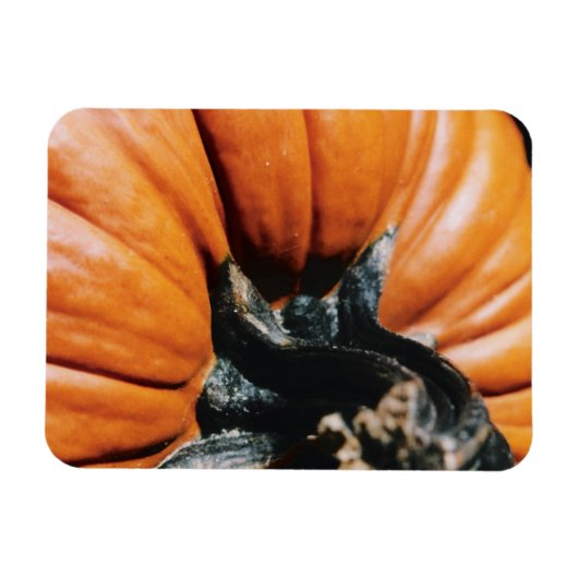 Pumpkin Magnet (Horizontal)