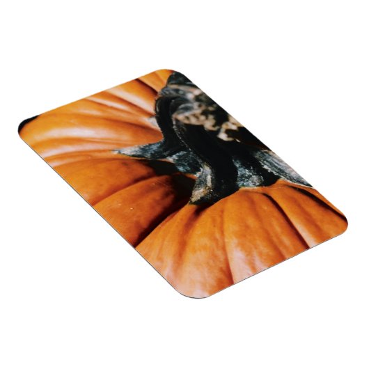 Pumpkin Magnet (Rechte Seite)