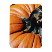 Pumpkin Magnet (Vertikal)