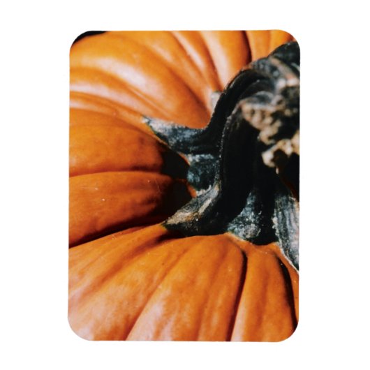 Pumpkin Magnet (Vertikal)