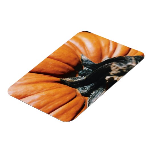 Pumpkin Magnet (Linke Seite)