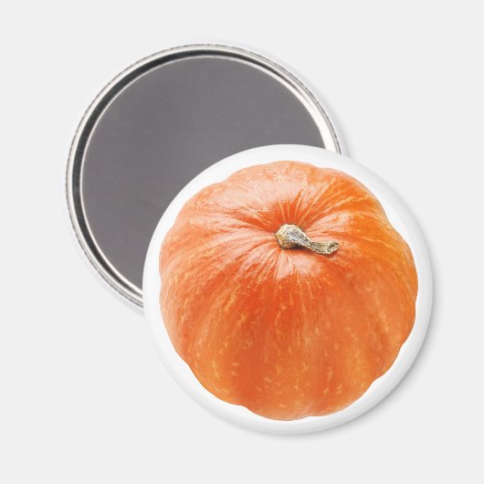 Pumpkin Magnet (Vorderseite/Rückseite)