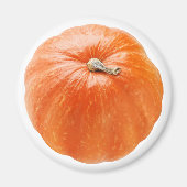 Pumpkin Magnet (Vorne)
