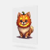Pumpkin Mask Spitz Dog Acrylschild (Winkel)
