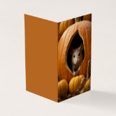 Pumpkin-Maus (Vorderseite)