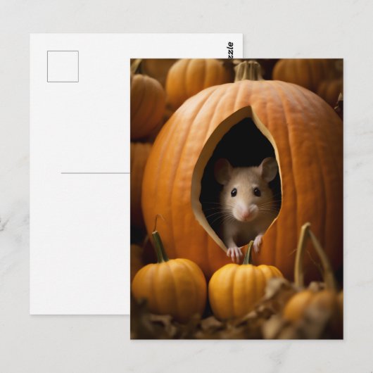 Pumpkin-Maus Postkarte (Vorne/Hinten)