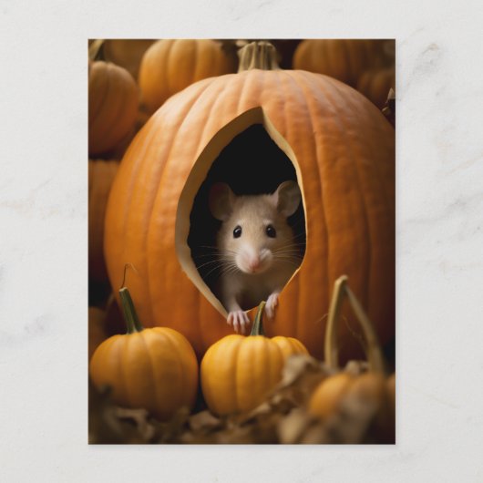 Pumpkin-Maus Postkarte (Vorderseite)