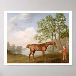 Pumpkin mit einer Stabstahl-Lade, 1774 (Öl auf Taf Poster