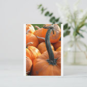Pumpkin nah-up postkarte (Stehend Vorderseite)